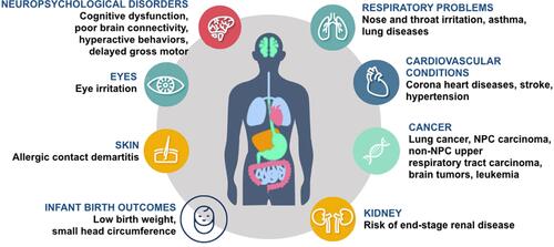 Figure 1 Possible adverse effects of incense smoke on human health. Individuals who expose to incense burning may inhale a complex mixture of deleterious chemicals, resulting in a wide variety of conditions ranging from irritation to cancer. The potential impact of incense burning has been observed in many vital organs.