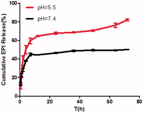 Figure 6. Cumulative release of NPs-EPI at pH 7.4 and pH 5.5.