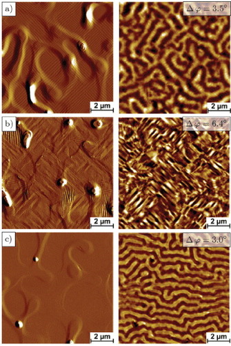 Figure 2. Amplitude error images of topography (left) and MFM phase contrast maps (right) of (a) as-deposited sample M1. The color-coded MFM contrast reveals magnetic stripe domains that are predominantly aligned normal to the martensite twin boundaries, which are visible due to the corresponding regular surface corrugation pattern. (b) Specimen M2 with topography predominantly free of the regular surface corrugation pattern, but a weaker stripe morphology. In this sample in-plane twinning occurs. Magnetic domains, located within these twin variants, show a more pronounced magnetic contrast than in regions with a regular twinned surface such as specimen M1. (c) As-deposited austenitic sample A. The magnetic domain patterns are very similar to the martensitic sample. Due to lower film corrugations, magnetic domains with one preferential orientation can be observed.