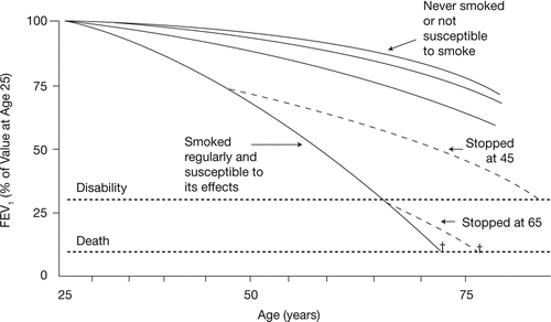 Figure 3 Natural history of lung function decline in smokers and nonsmokers (Citation[13]). British Medical Journal, 1977,1,1645–1648, reproduced/amended with the permission from the BMJ publishing group.