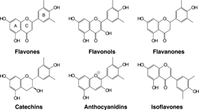 Figure 1 Subclasses of flavonoids. Classification is based on variations in the heterocyclic C-ring.