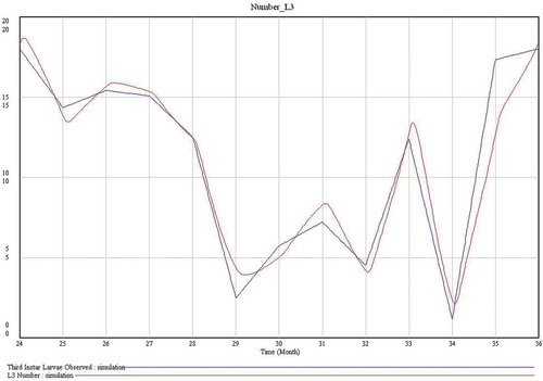 Figure 5. Dynamics of L3 (third-instar larvae) numbers. In red (bottom legend), number of L3 observed (Pérez et al. Citation1996). In blue (upper legend), number of L3 predicted by the model. In the x-axis, 24 and 36 represent December, and 25 to 35 represent January to November, respectively.