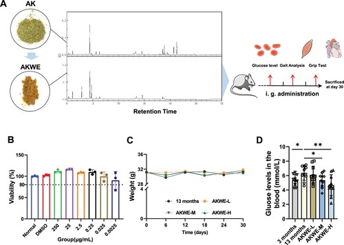 Figure 1. Effects of AKWE on body weight and blood glucose level of middle-aged mice. (A) The TUPLC-Q Orbitrap HRMS negative ion mode total ion flow chromatography of AKWE. (B) The viability of AKWE treated HUVECs. n = 3. (C, D) The weight growth curve and the blood glucose levels of AKWE treated mice. n = 10. *p < 0.05. Error bars indicate SD.