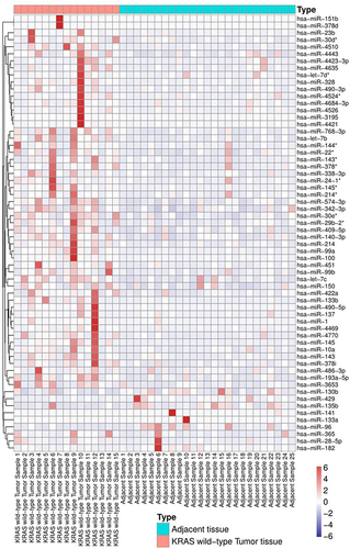 Figure 3 Heatmap of miRNA expression differences between KRAS wild-type tumor tissues and adjacent tissues.