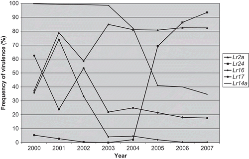 Fig. 1. Frequency of virulence (%) from 2000–2007 in the Manitoba and Saskatchewan population of P. triticina to near-isogenic lines containing Lr2a, Lr14a, Lr16, Lr17 or Lr24. Data from McCallum & Seto-Goh (Citation2003, Citation2004, 2005, Citation2006a, 2006b, Citation2008, Citation2009).