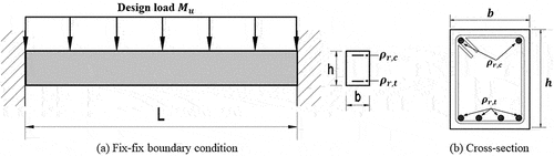 Figure 1. Configuration of a doubly RC beam.