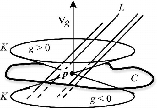 Fig. 2 Parallel lines crossing the zero set of g.