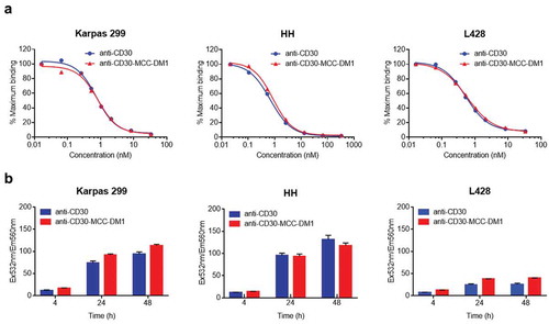 Figure 2. Binding and internalization of anti-CD30-MCC-DM1. a, Competition binding of anti-CD30-MCC-DM1 to CD30-positive cells. Karpas 299, HH and L428 cells were combined with biotinylated anti-CD30 mAb and serial dilutions of either anti-CD30 mAb or anti-CD30-MCC-DM1. The normalized fluorescence intensities were plotted versus mAb concentration as described in the “Materials and methods.” b, internalization of anti-CD30-MCC-DM1 into CD30-positive cells. pHAb dye-conjugated anti-CD30 mAb and anti-CD30-MCC-DM1 were added to the Karpas 299, HH, and L428 cells and incubated for various time durations. Mean and standard deviations from triplicate readings are plotted.