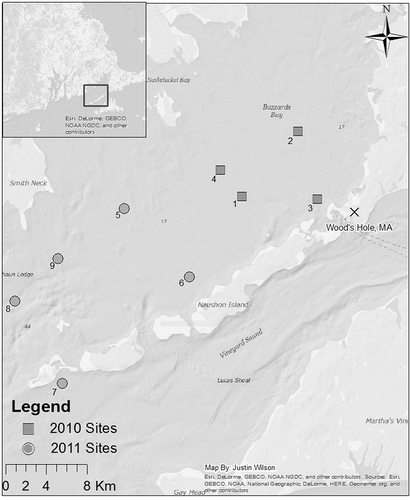 FIGURE 1. Map of Buzzards Bay, Massachusetts, showing sites where marked channeled whelks were released in 2010 (squares, 1–4) and 2011 (circles, 5–9). Whelks were recaptured at the same sites after being at liberty for either 1 year (sites 1–9) or 2 years (sites 1–4).