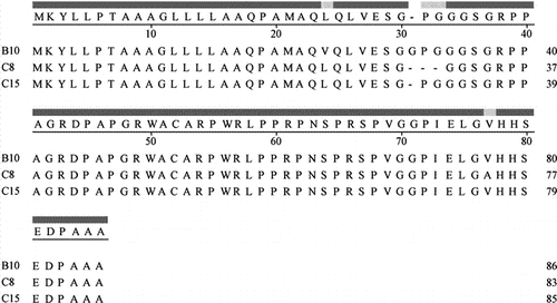 Figure 5.  Alignment of deduced amino sequences of DON-binders by ClustalW.