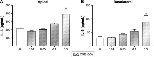 Figure 4 The effect of CSE on cytokine release from Calu-3 cells. Calu-3 cells (n=6) were exposed to CSE (0.01–0.3 OD) for 24 hours and apical (A, C) and basolateral (B, D) supernatants were analyzed for IL-6 (A, B) and CXCL8 (C, D). **Significant difference compared to untreated cells where p<0.01.