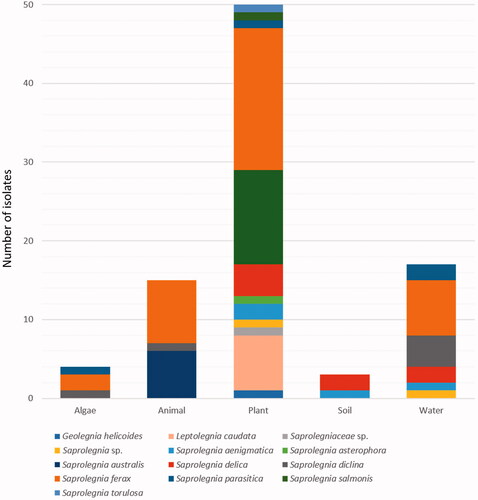 Figure 5. Abundance of Saprolegniaceae isolates from different freshwater substrates. The number of Saprolegniaceae isolates recovered from algae, animals, plants, soil, and water is shown.