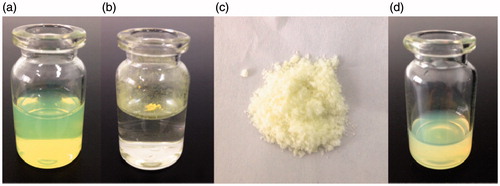Figure 4. Photographs of GNA-NS (a), crude GNA suspension (b), lyophilized GNA-NS powder (c) and re-dispersed aqueous suspension (d).