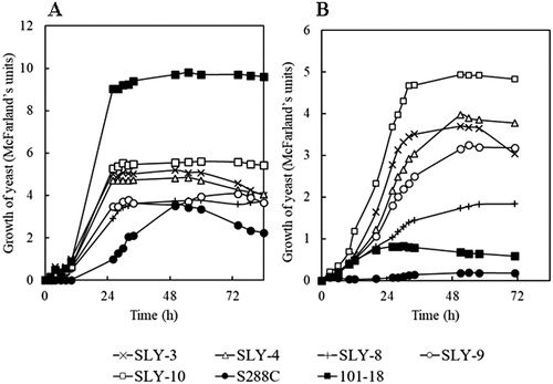 Figure 1. Growth of S. cerevisiae strains in the presence of 7.5% NaCl in YPD medium (w/v), incubated at 37 °C (A) and 40 °C (B) while shaking (reciprocally) at 200 rpm. Note: The comparison of the growth of all five strains was shown with two reference strains; laboratory yeast S288C and Awamori yeast 101-18 strain.