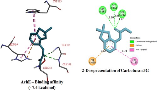 Figure 6. Illustrative diagram representing the protein–ligand interaction between potential protein target AchEof Mi and Carbofuran 3G.