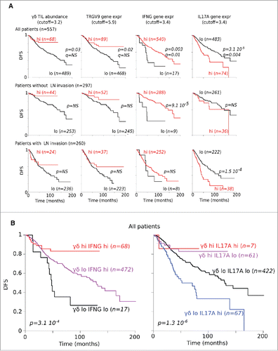 Figure 6. Correlation between gene expression and DFS. (A) DFS of CRC patients according to abundance of γδ TILs as well as of TCRGV9, IFNG and IL17A gene expression levels. (B) DFS of CRC patients according to γδ TILs abundance and IFNG or IL17A gene expression.