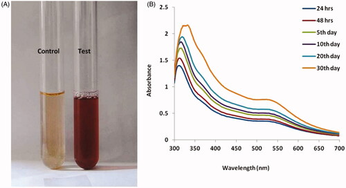 Figure 1. Analysis of absorption spectra of AuNPs by characterization using UV-Visible spectroscopy.