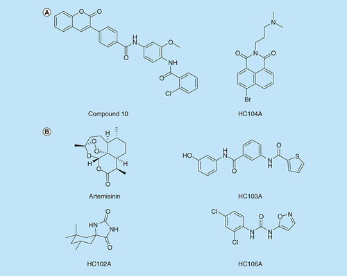 Figure 2. Selected chemical structures of small molecules that inhibit DosRST signaling. (A) Inhibitors of DosR. Compound 10 and HC104A inhibit DosR binding of promoter DNA. (B) Inhibitors of DosS and DosT. Artemisinin and HC106A inhibit DosS and DosT by interacting with the embedded heme sensor. HC102A and HC103A do not inhibit heme redox, but instead inhibit sensor kinase autophosphorylation.