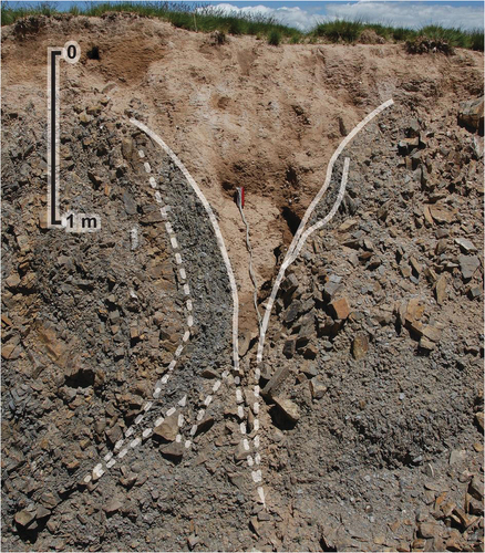 Figure 9. Rock tessellon (wedge) at 35° 0′ 17.7″ N, 97° 35′ 58.3″ E on the access road from the Ngöring Lake to Mt. Niutoushan (Bullhead Hill) with its peak at an elevation of 4,610 m a. s. l. (from Harris et al., Citation2012).