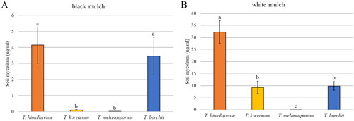 Figure 9. Mycelial biomass of Tuber spp. 6 months after transplantation under black mulch (A) and white mulch (B). Mean values ± standard error. Different letters above the bars show significant differences (LSD test, p < 0.05).