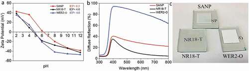 Figure 3. (a) IEP measurements of SANP, NR18-T and WER2-O in aqueous solutions (0.01 M) using different pH values; (b) diffuse reflections of SANP, NR18-T and WER2-O films (10.0 ± 0.3 µm thick); and (c) the visual image of photoanode films