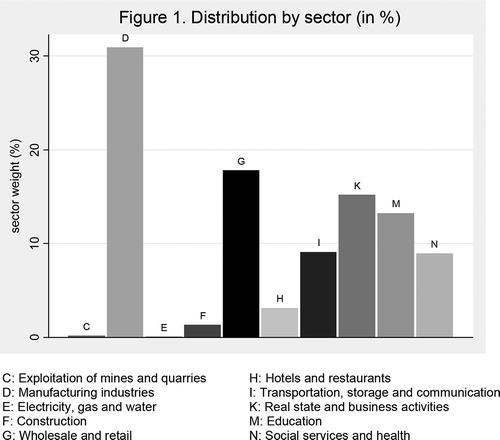 Figure 1. Distribution by sector (in %).