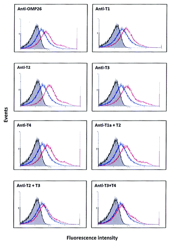 Figure 3. Binding of anti-OMP26 peptide sera to intact NTHi-289 cells. The x axes represent the levels of fluorescence and the y axes represent the number of cells counted. Intact bacteria were incubated with a 1:50 dilution of antisera, stained with Alexa Fluor® 488 goat anti-rat IgG and analyzed for intensity of green fluorescence by Flow Cytometry. The gray areas represent fluorescence in the absence of antibody. Blue lines represent the negative control of bacterial cells incubated with non-immune sera. The results with each immune sera are indicated in red. The total population analyzed was 8 × 104 bacteria.