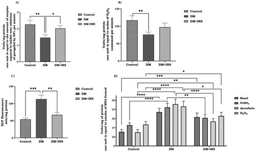 Figure 2. Effect of hyperglycemia on oxidative stress markers. (A) SOD, (B) CAT, (C) ROS and (D) LPO activity in rat testis (LPO was tested at basal level and also with the inducers FeSO4, Ascorbate and H2O2). Enzyme activity for SOD is expressed as unit/mg protein; where one unit is equal to the amount of enzyme required to inhibit auto oxidation of pyrogallol by 50% per minute; CAT is expressed as unit/mg protein; where one unit is equal to moles of H2O2 consumed per minute; ROS is expressed as DCF fluorescence/min/mg protein; lipid peroxidation is expressed as unit/mg protein; where one unit is equal to nmoles of MDA formed. Values represent mean ± S.D (n = 6). Values are statistically significant at *p < 0.05, **p < 0.01, ***p < 0.001 and ****p < 0.0001.