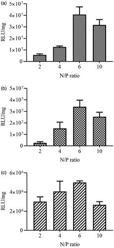Figure 5. Influence of the N/P ratio of PEI polymers complexed with pGL4.50 plasmid on luciferase reporter gene expression. (N/P ratio of 2, 4, 6 and 10 were used) in SK-BR-3 (a), BT-474 (b) and MCF10A (c) cell lines.