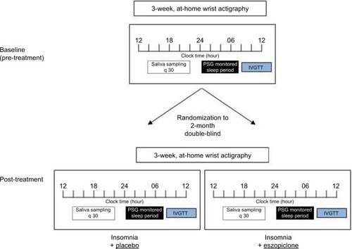 Figure 1 Protocol schema.