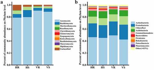 Figure 4. The composition of soil microbial community at phylum level. (a) fungi; (b) bacteria