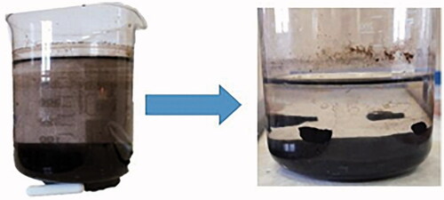 Figure 2. Phase separation of Fe3O4 sediments from solution using a conventional magnet.
