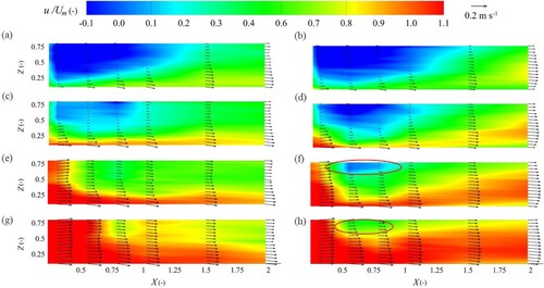 Figure 10 Time-averaged velocities of Geometry no. 1 (left) and Geometry no. 2 (right), contours for spatial distributions of velocities and u, w (vectors) in the xz plane of the separation zone, (a) and (b) Y = 0.10; (c) and (d) Y = 0.14; (e) and (f) Y = 0.19; (g) and (h) Y = 0.24. The red ovals represent the region of unrecovered separation