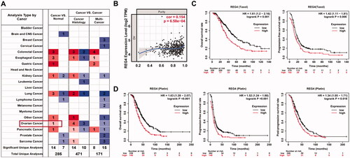 Figure 1. Expression of REG4 mRNA in ovarian cancer. (A) Regenerating gene 4 (REG4) mRNA expression was observed in various cancers according to an Oncomine database. (B) A positive correlation existed between REG4 mRNA expression and cell purity in ovarian cancer according to a Timer database. (C) The prognostic significance of REG4 mRNA expression was analysed in ovarian cancer treated with taxol chemotherapy using a Kaplan–Meier plotter. (D) The prognostic significance of REG4 mRNA expression was analysed in ovarian cancer treated with platinum (platin) chemotherapy using a Kaplan–Meier plotter.