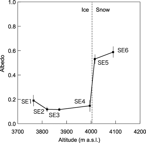 Figure 9 Altitudinal profile of integral albedos of visible wavelength region on the surface of the Ürümqi Glacier No. 1 (the east branch).