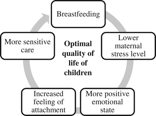 Figure 1. The positive, self-reinforcing cycle of breastfeeding.