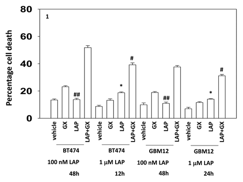 Figure 1. Low and high dose lapatinib increase obatoclax toxicity. BT474 and GBM12 cells in triplicate were treated with vehicle (VEH, DMSO), lapatinib (lap, 1 μM or 100 nM), obatoclax (GX, 50 nM) or the drug combination. Cells were isolated as indicated 12, 24, and 48 h later and viability determined by trypan blue (± SEM, n = 3) #P < 0.05 less than corresponding value in WT cells ##P > 0.05 compared with vehicle treated cells; *P < 0.05 greater than vehicle control.