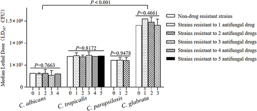 Figure 5 For C. albicans, C. tropicalis, C. parapsilosis or C. glabrata, there was no significant difference in median lethal dose (LD50) of G. mellonella larvae among infection models of multiple-drug resistant strains, single-drug resistant strains and non-drug resistant standard strains. But the difference among these four candida species was statistically significant (P<0.001).