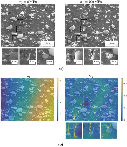 Figure 6. Detection of different kind of cracks by the TGV model. (a) Microstructure images of the specimen under low and high load and (b) Results of the TGV model showing the displacement u1 in μm (1μm=16px) and the strain ∇xu1.