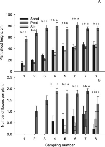Figure 3. Plant shoot height (cm; A) and number of flowers per plant (B) on eight destructive sampling occasions in the pot experiment at Fureneset showing the effect of soil type (sand, silt and peat). Vertical bars represent the standard error of the means. Different letters indicate the significances between sandy, silty loam and peat soils.