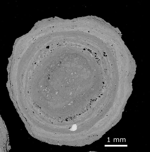 Figure 9 Backscattered electron SEM image of a pisolith from the Longtom pit, East Weipa showing a circular zone of voids (black spots).