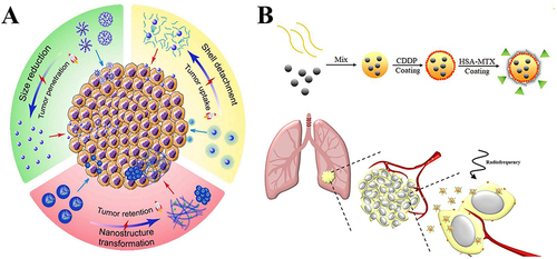 Figure 4 Nanoparticles in lung tumors. (A) Smart transformable nanomedicines with a schematic representation for overcoming biological barriers and enhancing anti-tumor efficacy. Reprinted from Biomaterials, 271, Wang Y, Li S, Wang X, et al, Smart transformable nanomedicines for cancer therapy, 120737, Copyright 2021, with permission from Elsevier.Citation108 (B) Synthesis and mechanism of action of SPIO@PSS/CDDP/HSA-MTX NPs.Citation111 Reprinted from Yang SJ, Huang CH, Wang CH, Shieh MJ, Chen KC. The Synergistic Effect of Hyperthermia and Chemotherapy in Magnetite Nanomedicine-Based Lung Cancer Treatment. Int J Nanomedicine. 2020;15:10331–10347.Citation111