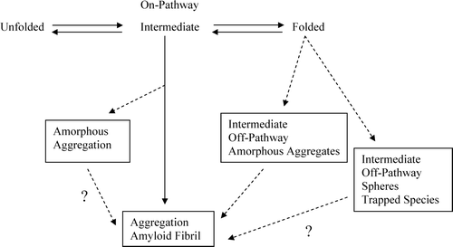 Figure 7. AL proteins show amyloid fibrils. LCDD proteins show amorphous aggregates and MM proteins show spherical species. uAL-03 and uLCDD-02 were stained with 4% uranyl acetate. uAL-02, uLCDD-01, uMM-01 and uMM-02 were stained with 1% phosphotungstic acid. The negatively stained grids were examined using a JEOL 1200 EX transmission electron microscope. Scale bars are located in the lower left corner of each image.