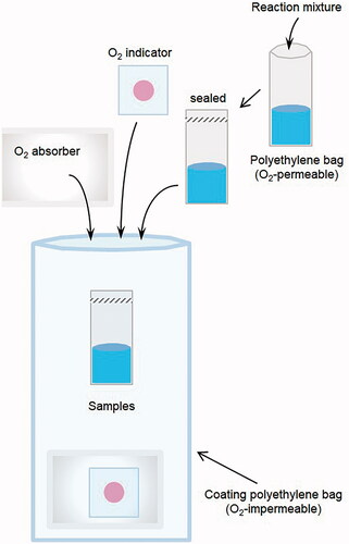 Figure 1. Schematic drawing of the sample preparation for irradiation under hypoxic conditions. An aliquot (300‒350 μL) of sample solution was sealed in an O2-permeable polyethylene bag using a heat sealer. The samples were moved into a glove box, and then N2 gas was pumped into the glove box to create a 0.5% or less O2 atmosphere. The PTFE tubing or polyethylene bag containing the sample solution was again sealed in an O2-impermeable bag with an O2-absorber and colorimetric O2-indicator.