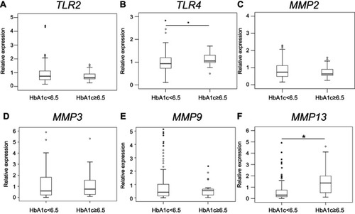 Figure 1 Effect of HbA1c concentration on TLR and MMP expression in the synovium. TLR2 (A), TLR4 (B), MMP2 (C), MMP3 (D), MMP9 (E) and MMP13 (F) expression in patients with HbA1c ≥6.5 and HbA1c <6.5. *P<0.05 compared with HbA1c <6.5 group.