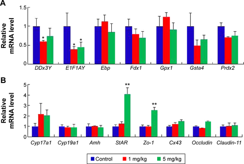 Figure S2 mRNA expression of specific genes at postnatal day 60.Notes: (A) The relative expression of the genes of germ development. (B) The relative expression of the specific genes in LCs and SCs. The results are presented as the mean ± SD. *Indicates significance of P<0.05; **indicates significance of P<0.01.Abbreviations: LCs, leydig cells; SCs, sertoli cells; SD, standard deviation.