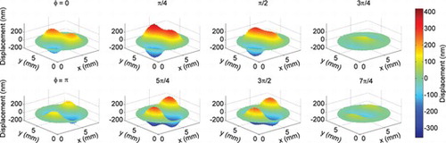 Figure 4 Displacement maps of a stretched rubber membrane acoustically stimulated at a frequency of 3805.5 Hz and a sound pressure of 100 dB SPL. The applied stroboscopic illumination is equivalent to Figure 1.