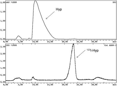 Figure 3. HPLC UV-chromatogram of unlabeled hypericin (Hyp) coming out at 10.3 min (upper part) and HPLC radiochromatogram (lower part) of iodine-123-labeled hypericin (123I-Hyp) with a retention time of 22.9 min.