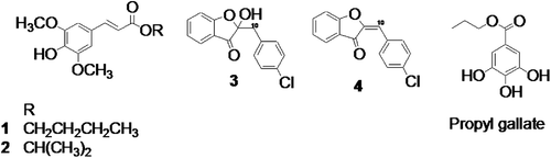 Figure 1  . Cinnamic acid ester and aurone derivatives from Spatoglossum variabile: (1) n-Butyl 3,5-dimethoxy-4-hydroxycinnamate; (2) isopropyl 3,5-dimethoxy-4-hydroxycinnamate; (3) 4′-chloro-2-hydroxyaurone; (4) 4′-chloroaurone.