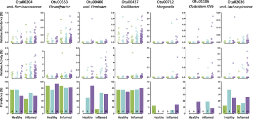 Figure 2. Distribution of 7 candidate pathogens according to B4galnt2 genotype and cecum inflammation. Relative abundance, relative activity, and prevalence of candidate pathogens according to cecum inflammation (healthy/inflamed) and B4galnt2 genotype (green = RIIIS/J homozygotes; turquoise = heterozygotes; purple = C57BL/6J homozygotes). Counts are written in the prevalence bar graphs.